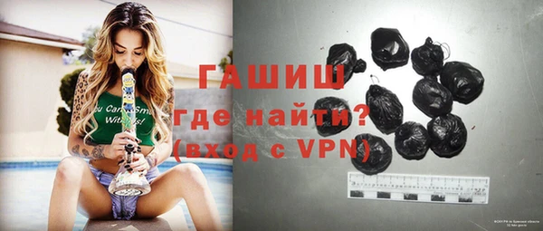 сатива Дмитриев