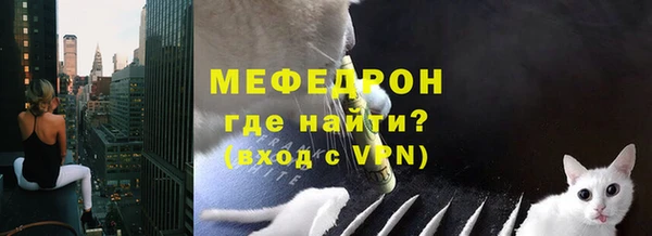 сатива Дмитриев