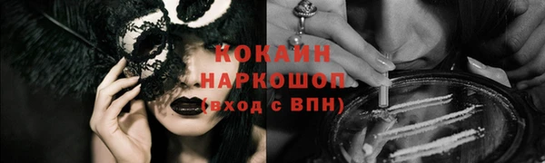 соль ск Дмитров