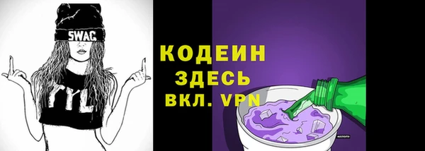 сатива Дмитриев