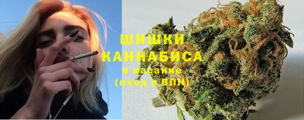 сатива Дмитриев