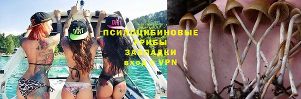 соль ск Дмитров
