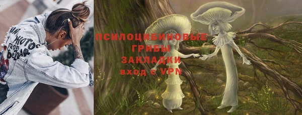 соль ск Дмитров