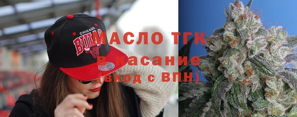 сатива Дмитриев