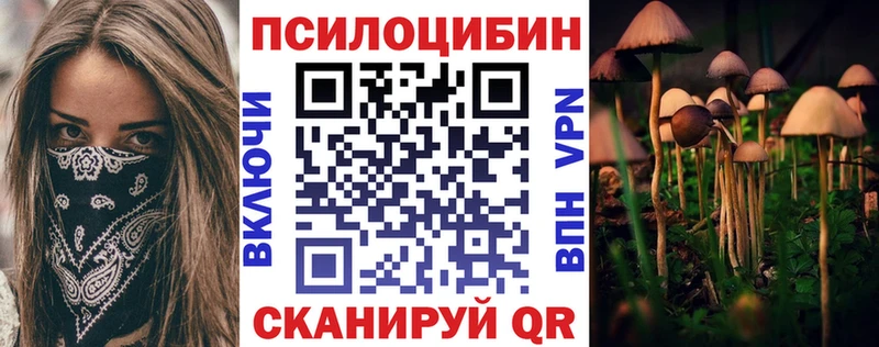 Галлюциногенные грибы Psilocybe где продают наркотики Карабаново